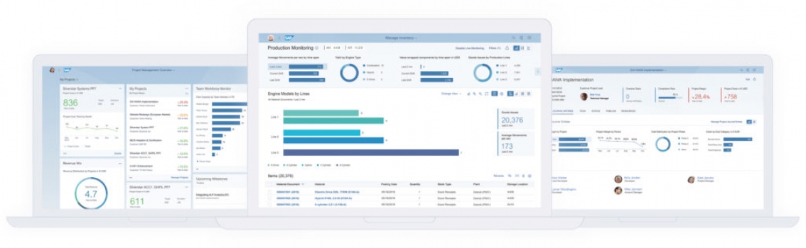 SAP Embedded Analtics